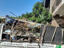 Shed Removal in Catawissa, PA